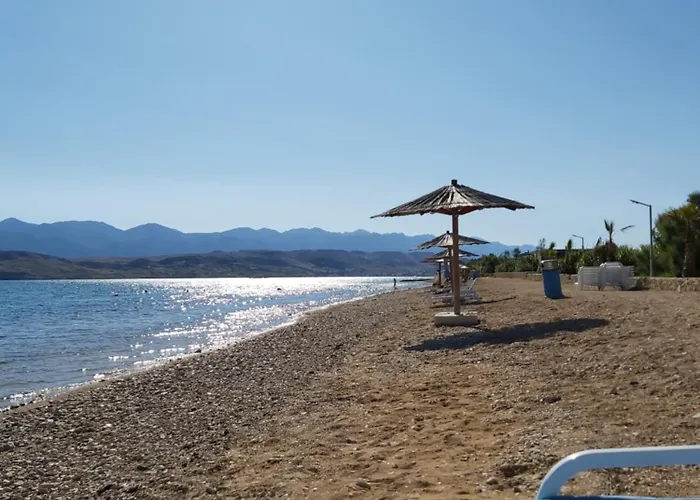 Olive Mobile Home, Terra Park Spiritos Kamp alanı *