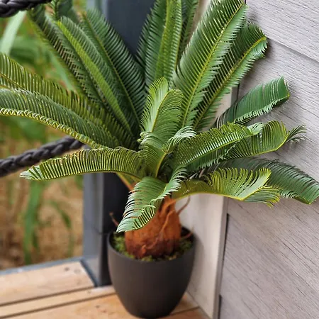 Olive Mobile Home, Terra Park Spiritos Parque de Campismo *