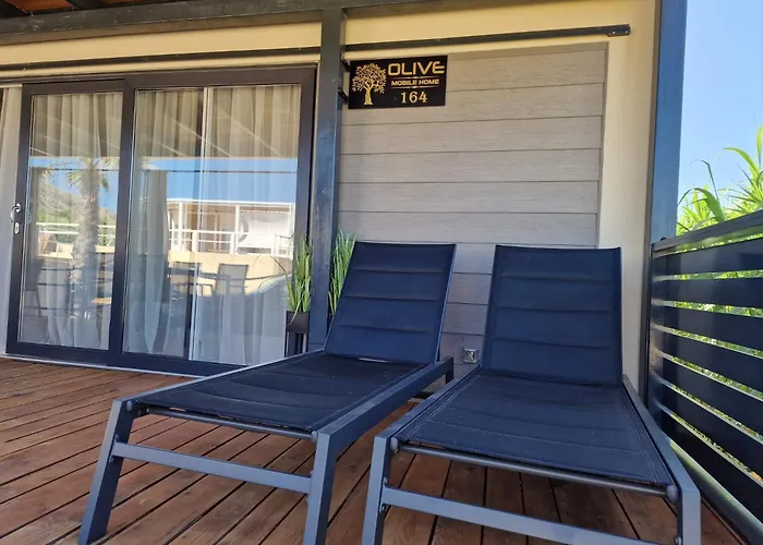 Olive Mobile Home, Terra Park Spiritos *